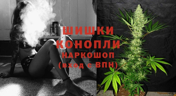 шишки Вязники