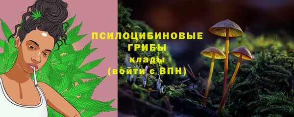 круглые Вяземский